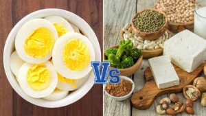 Vegetarian Powerhouses: Top 20 Plant-Based Foods Packing More Protein Than an Egg